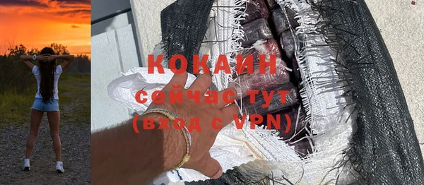 круглые Гусев