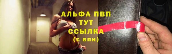 круглые Гусев