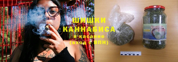 круглые Гусев