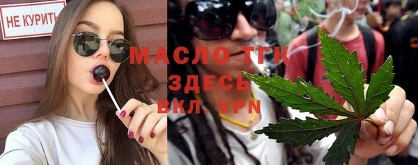 круглые Гусев